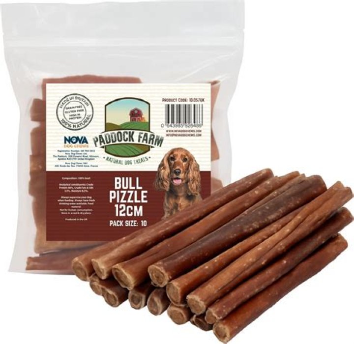 Are bull pizzles good for dogs?