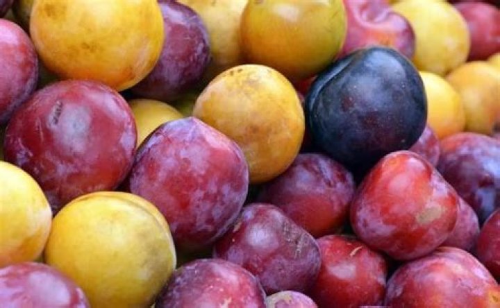 Are ciruelas good for you?