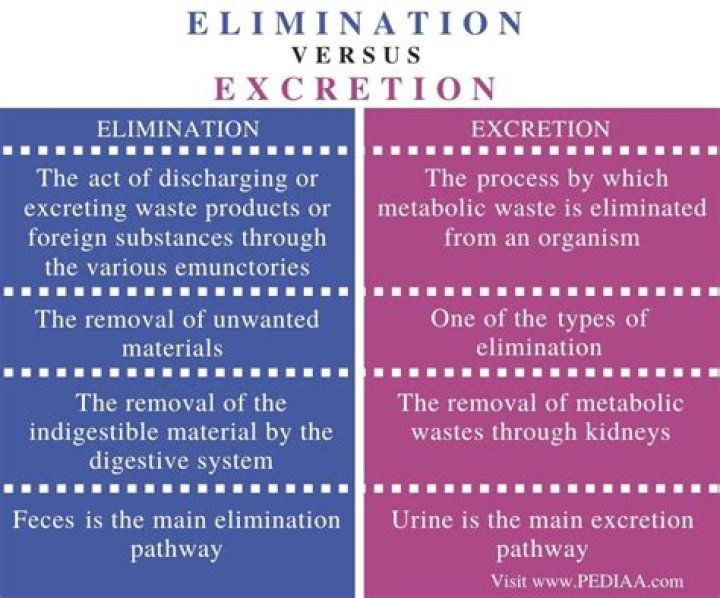 Are excretion and elimination the same?