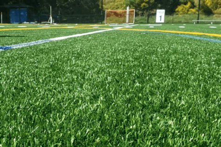 Are turf fields safe?
