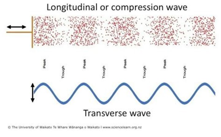 Are waves transverse or longitudinal?