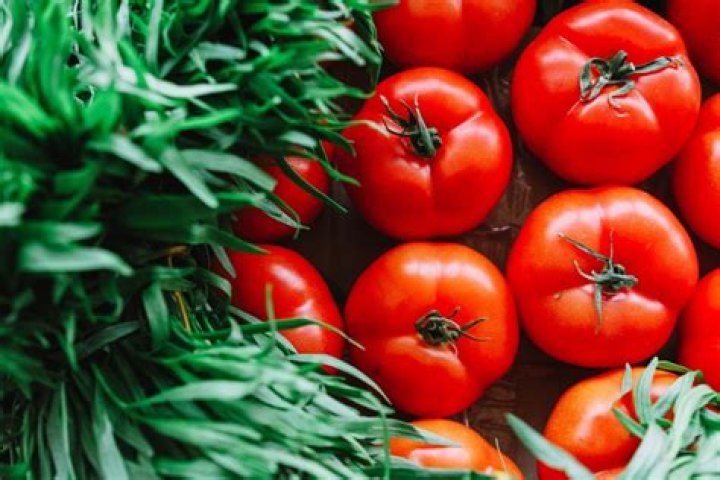 Are wrinkled tomatoes bad?