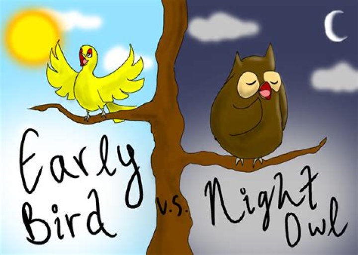 Can a night owl become an early bird?