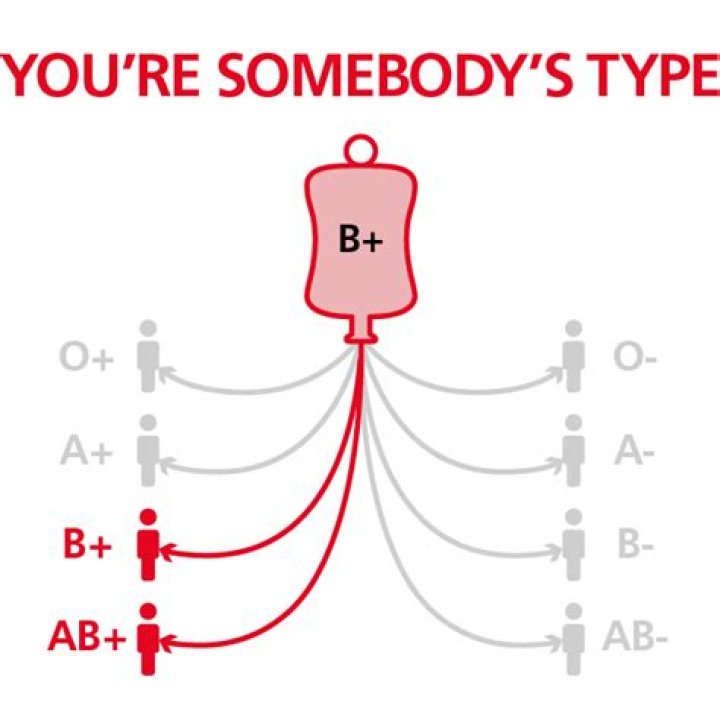 Can b+ donate blood?