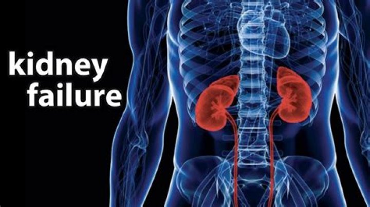 Can failed kidney be revived?