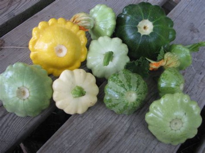 Can i freeze patty pan squash?