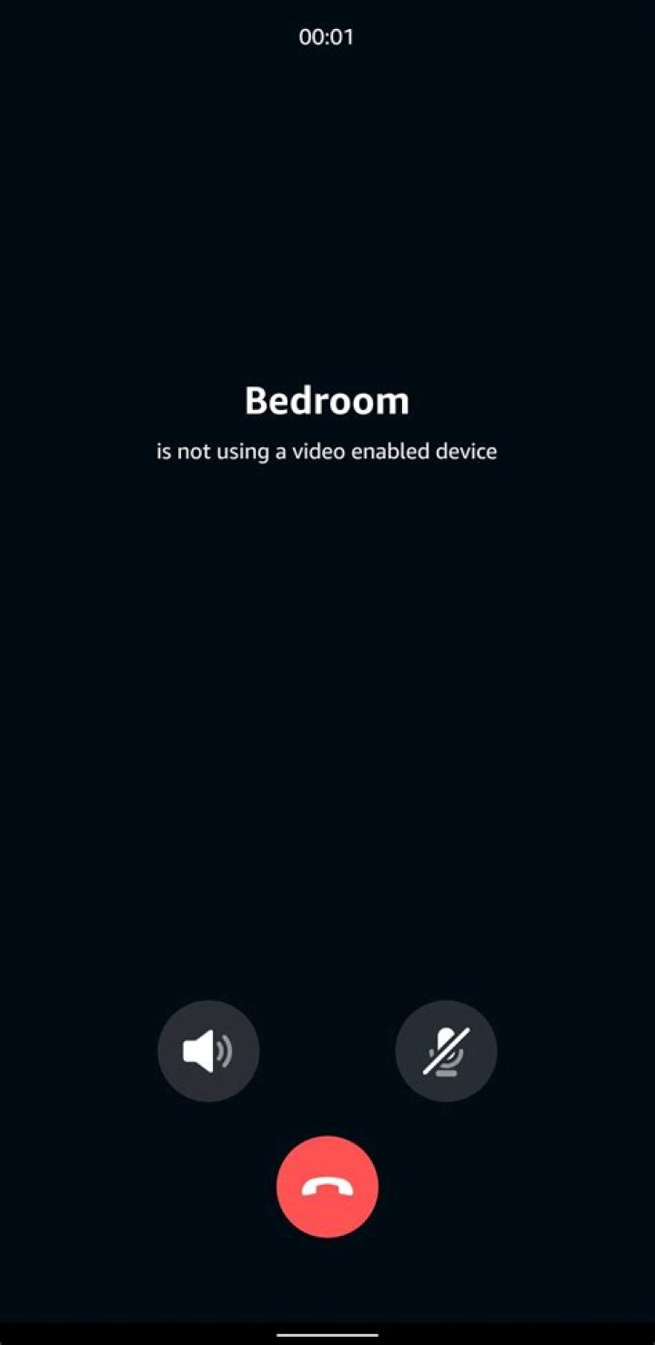 Can someone drop in on my alexa?