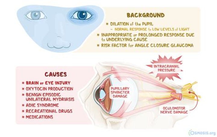 Can venlafaxine cause mydriasis?