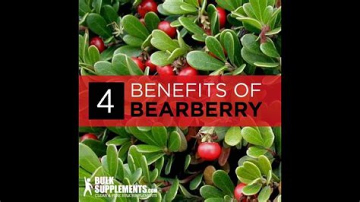 Can you eat bearberries?
