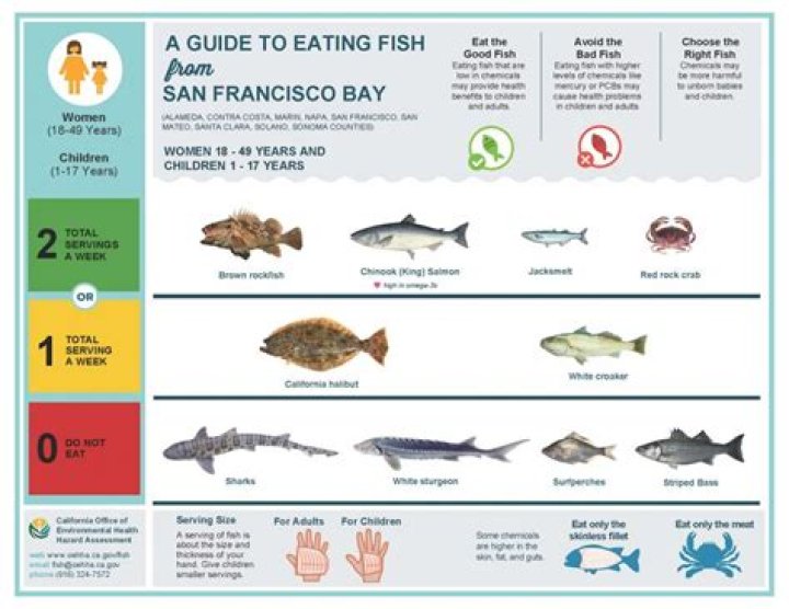 Can you eat fish from a creek?
