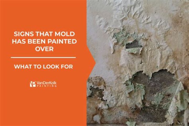 Can you paint over mold?