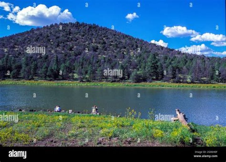 Can you swim in kaibab lake?