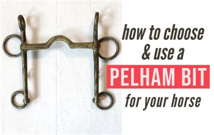 Can you use a pelham bit with one rein?