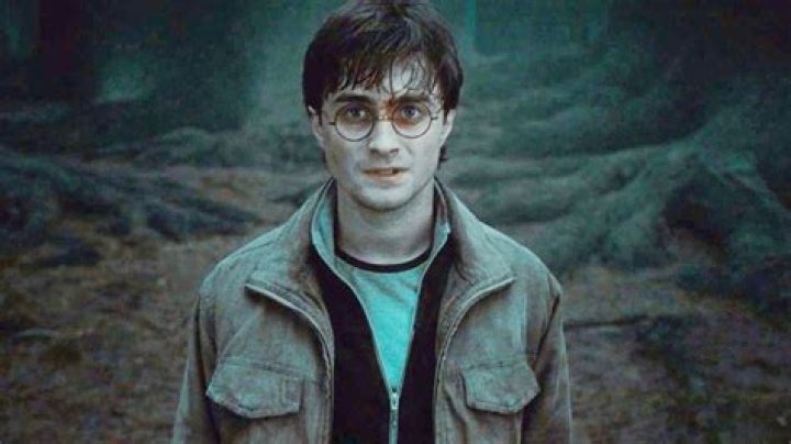 Did harry drop the resurrection stone?