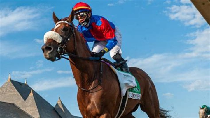 Did swiss skydiver win?