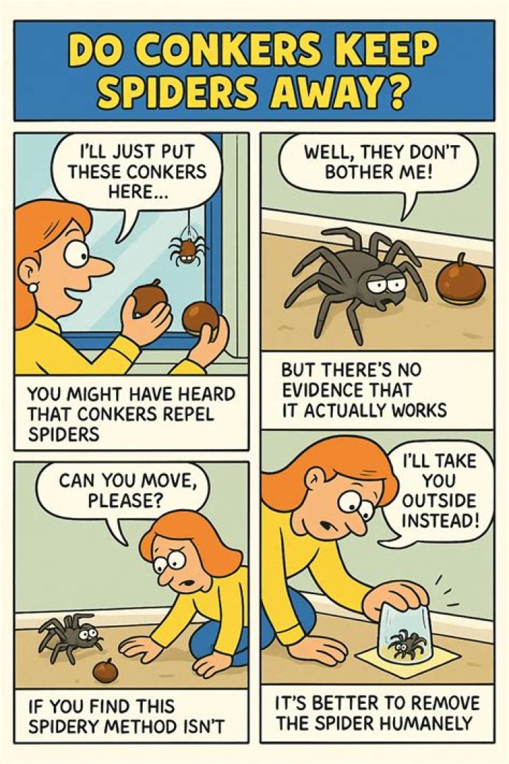 Do conkers kill spiders?