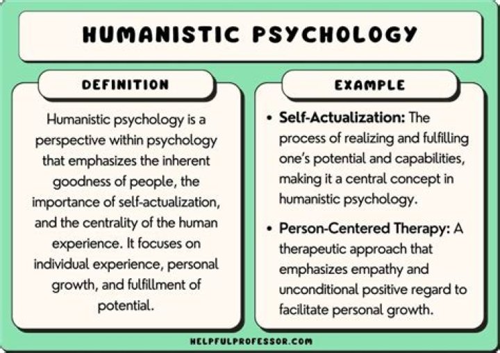 Do humanistic psychologists focus on?