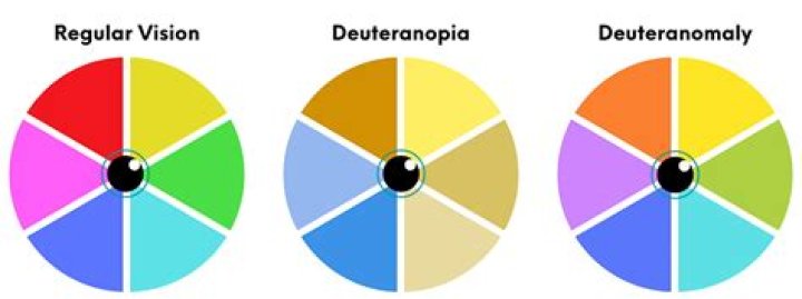 Do i have protanopia or deuteranopia?