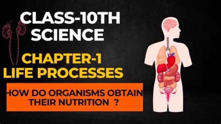 Do organisms obtain their nutrition?