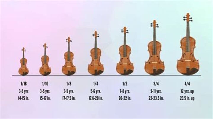Do violins come in different sizes?