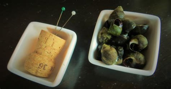 Do you cook winkles?