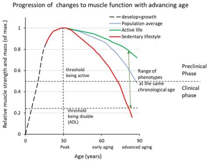 Do you get muscle wastage with ms?