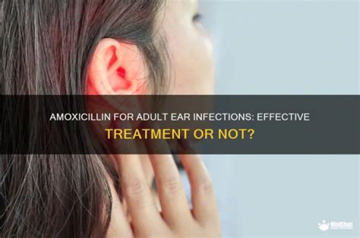 Does amoxicillin treat ear infections?