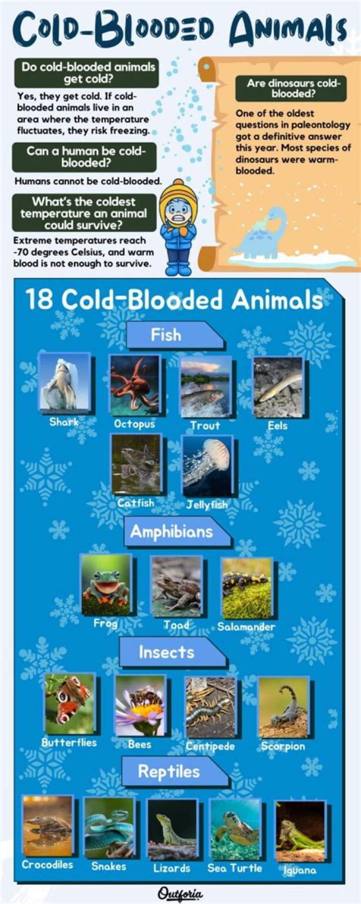Does cold blooded have a hyphen?