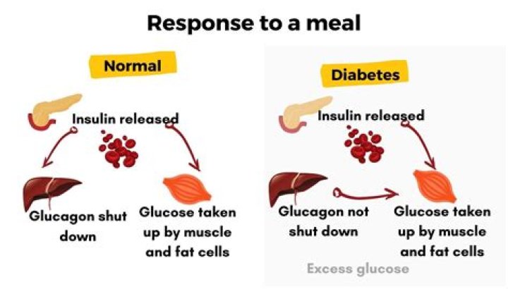 Does consuming increase blood sugar?
