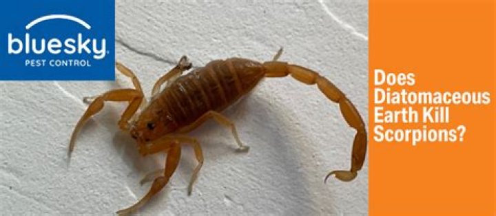 Does diatomaceous earth kill scorpions?