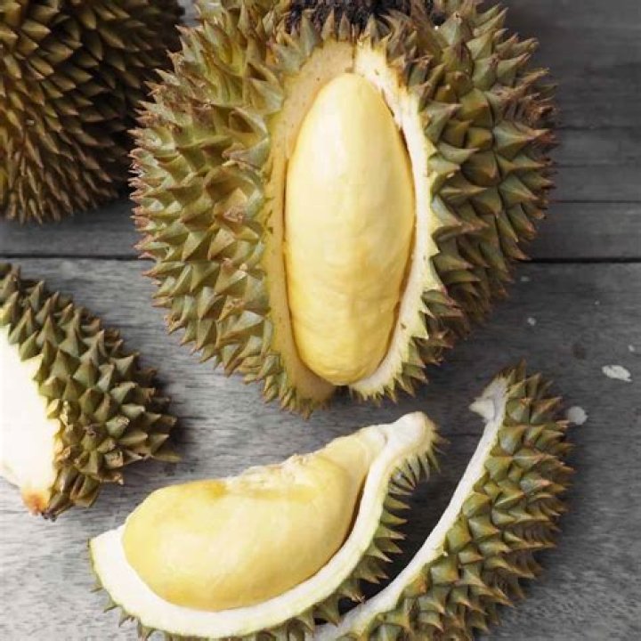 Does durian cause bloating?