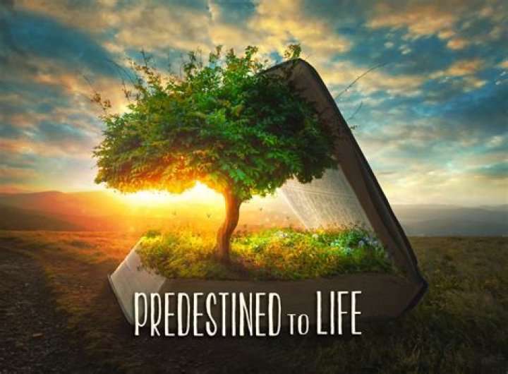 Does everything in your life predestined?