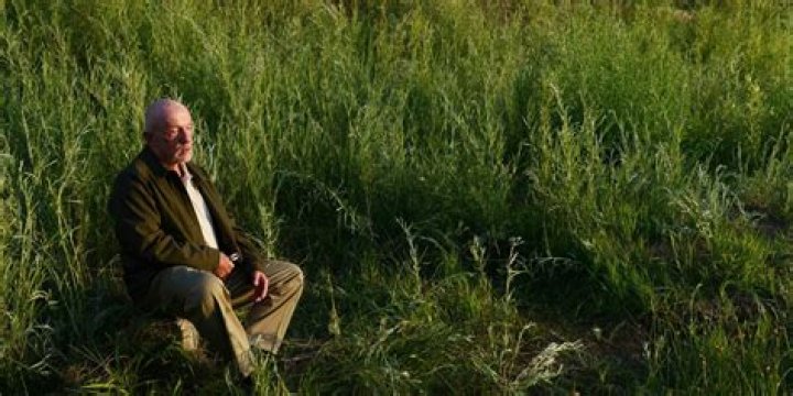 Does mike die in breaking bad?