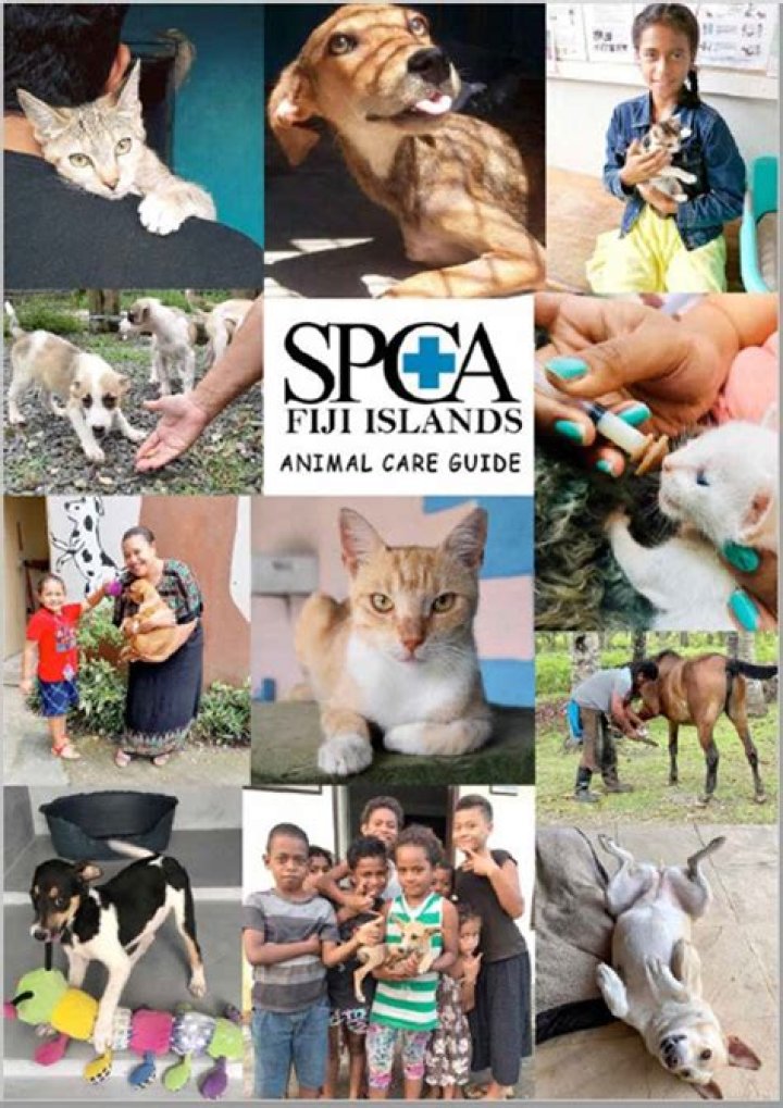 Does spca put down animals?