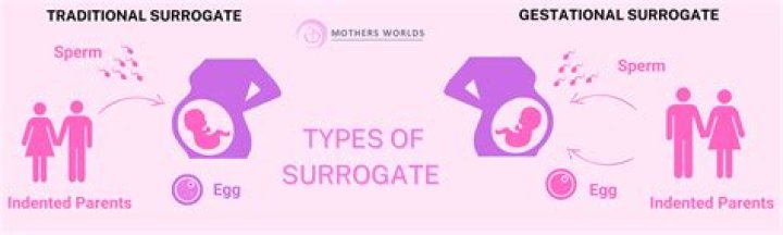 Does surrogate mean substitute?