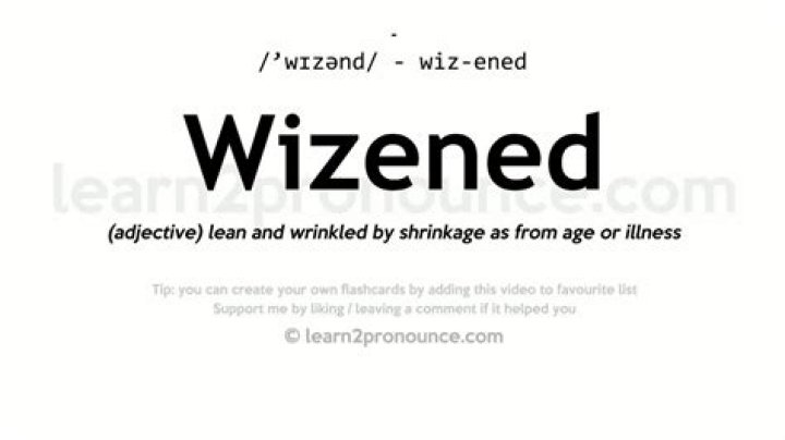 Does the word wizened mean?