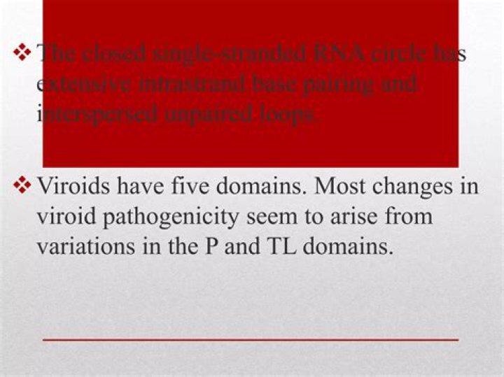 Does viroids have nucleic acid?