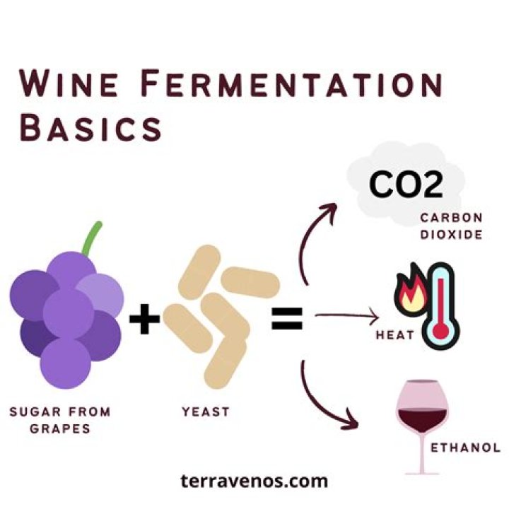 Does wine produces heat in the body?
