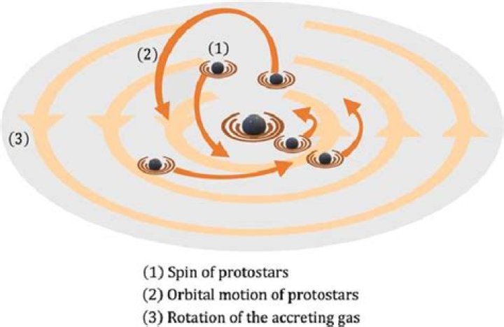 During the t-tauri phase of a protostar it?