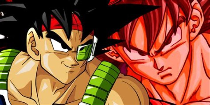 Has goku met bardock?