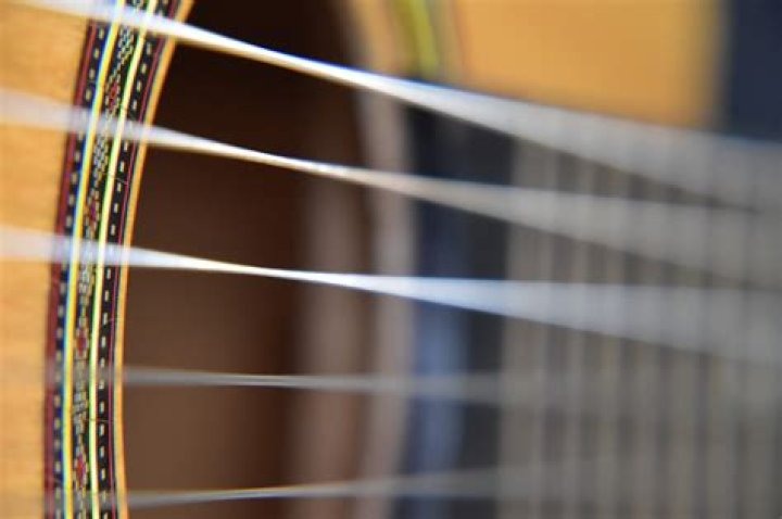 Has strings that are plucked?