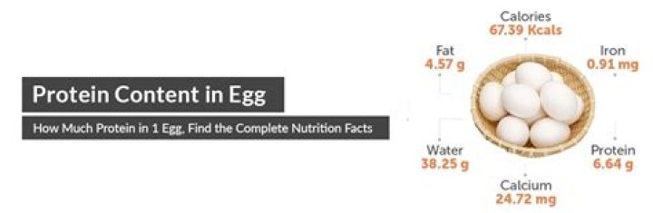 How amount of protein in egg?
