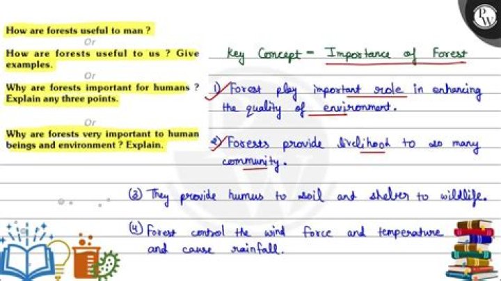 How are forests useful to man?