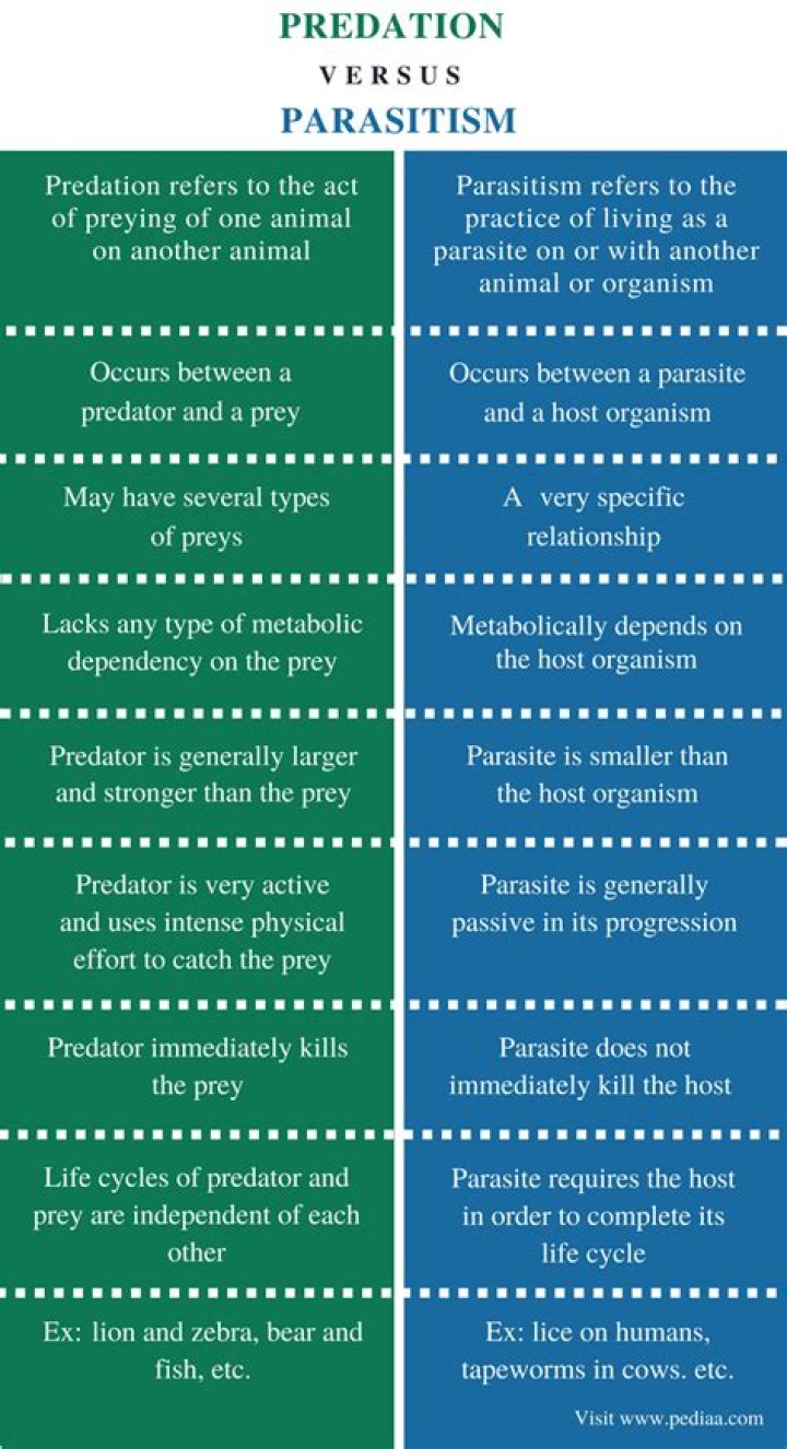 How are predation and parasitism similar?