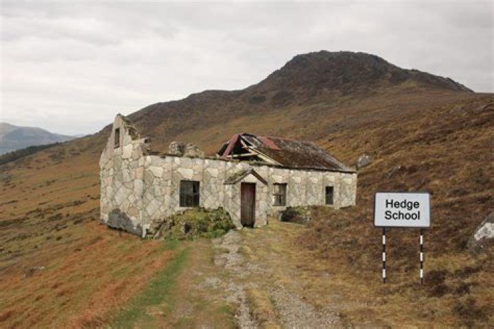 How does a hedge school work?