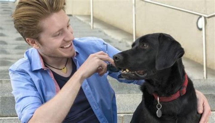 How does tylosin work?