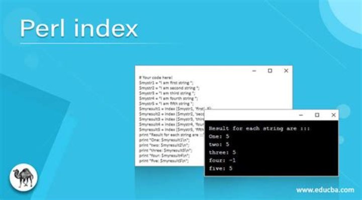 How index function works in perl?