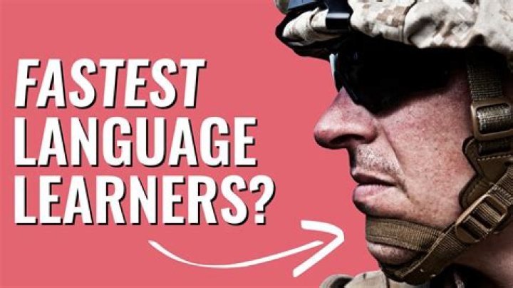 How linguists learn language?