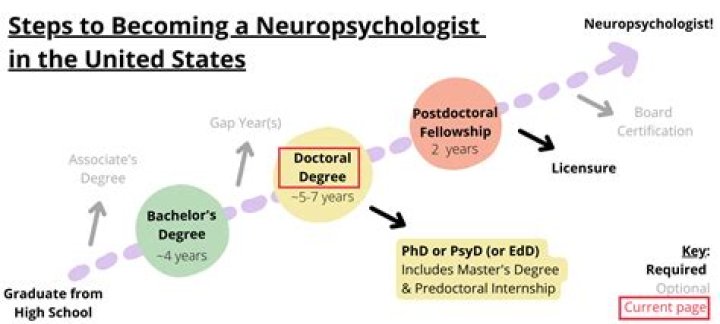 How many neuropsychologists in the united states?