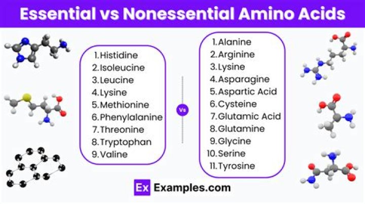 How many nonessential amino acids are there?